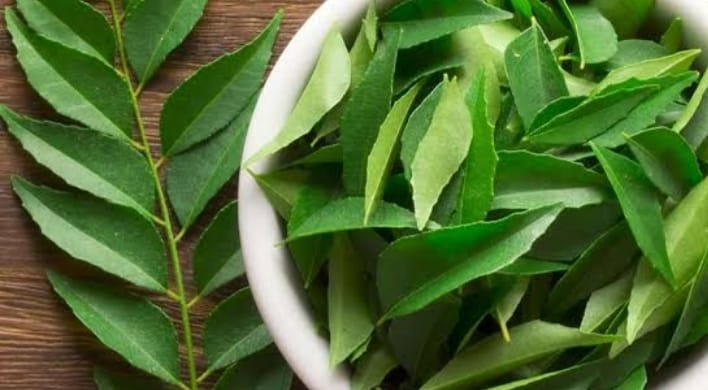 Curry Leaves Benefits in Tamil