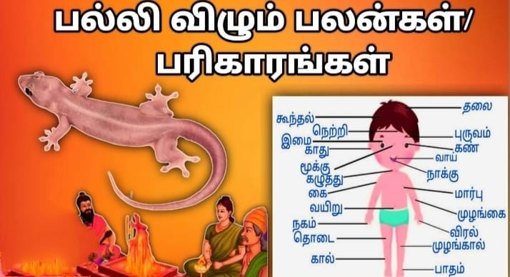 Palli Vilum Palan in Tamil